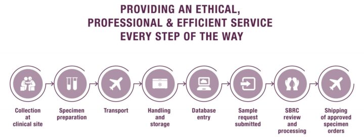 Providing an ethical, professional & efficient service every step on the way