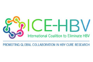 ICE-HBV