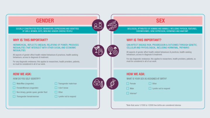 Sex and gender can affect all aspects of health R&D, health-related behaviours, and access to diagnostics.