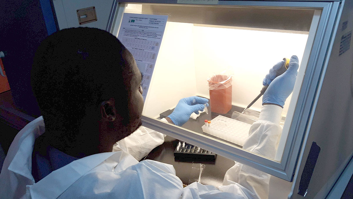 Un technicien de laboratoire prépare des échantillons pour le dépistage de la fièvre de Lassa dans le laboratoire national de référence du Centre nigérian de contrôle des maladies. (c) FIND / Devy Emperador, 2019