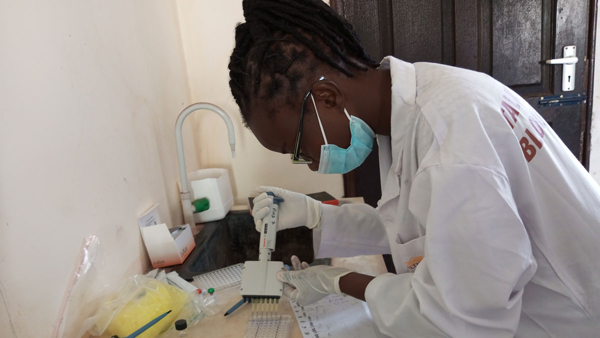 Laborantins travaillant sur les tests diagnostiques de la leishmaniose viscérale au Kenya. ©FIND/Charles Magiri, 2024